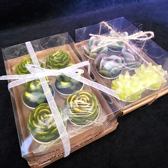 Succulent Candles - Picture 1 of 2